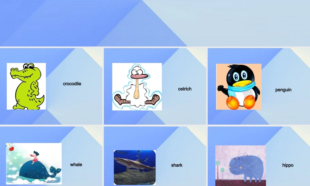 六年级英语上册《Unit 3 Animal world》（Lesson 16）课件 人教新起点-人教新起点小学六年级上册英语课件