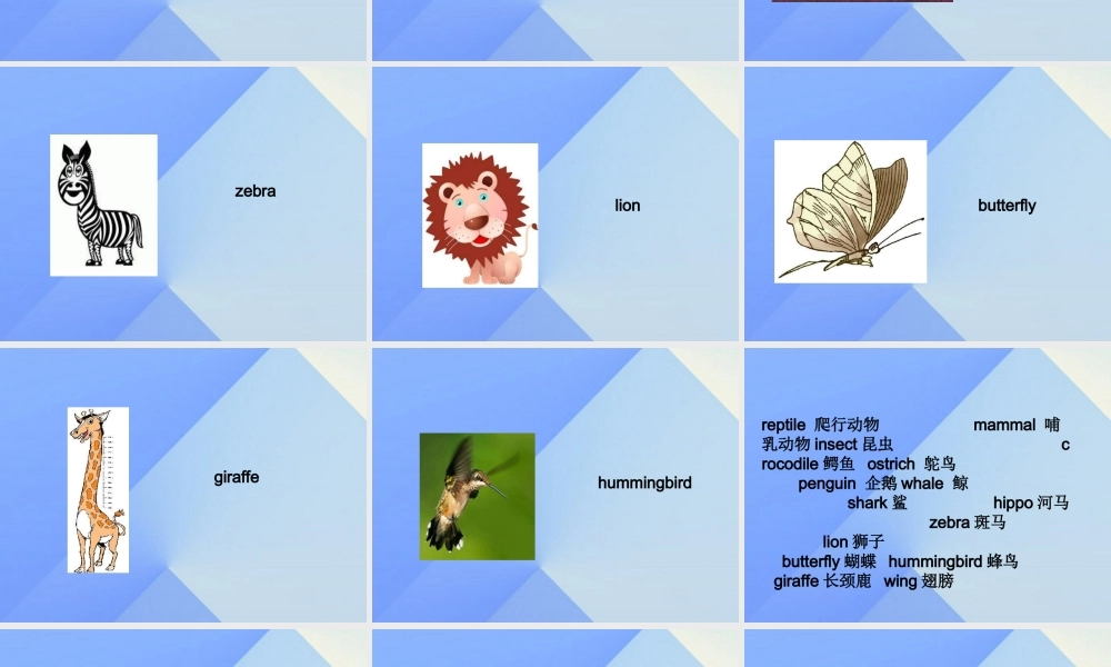 六年级英语上册《Unit 3 Animal world》（Lesson 16）课件 人教新起点-人教新起点小学六年级上册英语课件