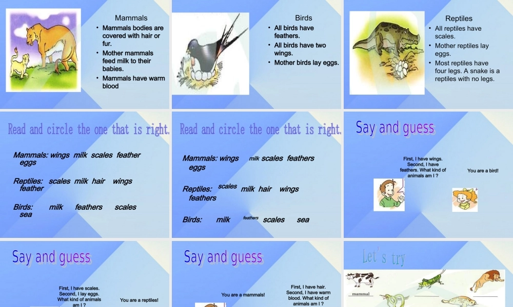 六年级英语上册《Unit 3 Animal world》（Lesson 16）课件 人教新起点-人教新起点小学六年级上册英语课件