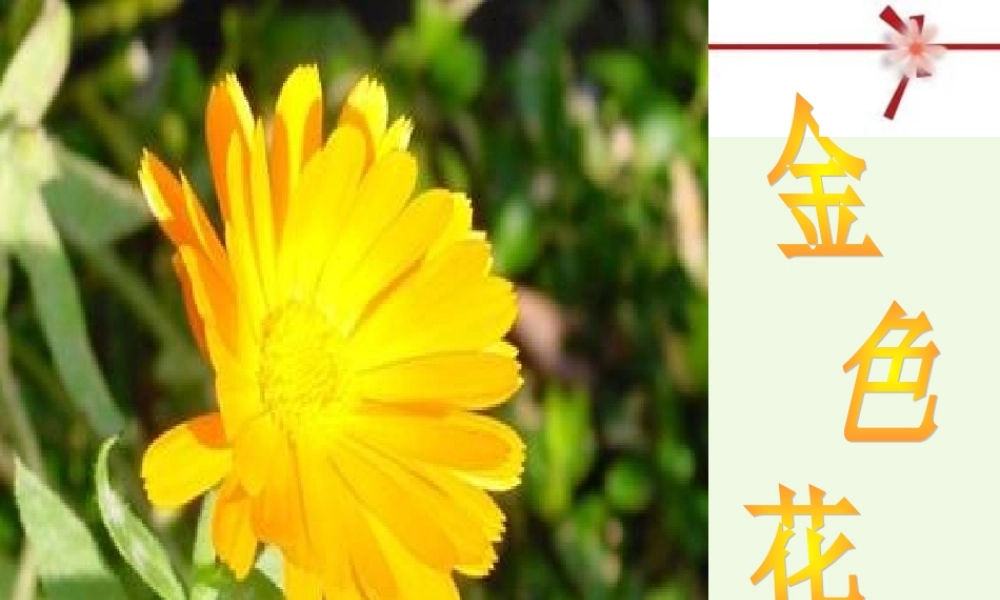 六年级语文上册 第11课 诗两首课件2 鲁教版-鲁教版小学六年级上册语文课件