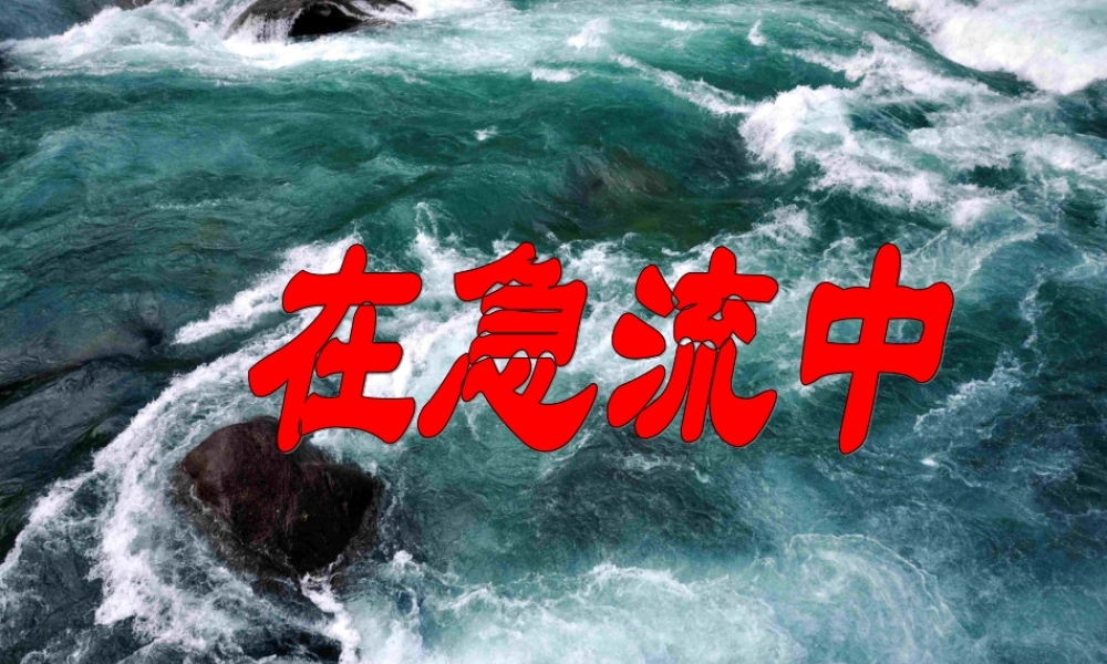 六年级语文上册 第11课 在急流中课件1 西师大版-西师大版小学六年级上册语文课件