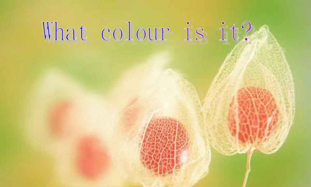 六年级英语上册 t color is it课件 鲁教版