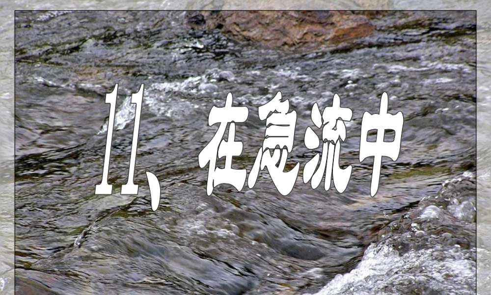 六年级语文上册 第11课 在急流中课件2 西师大版-西师大版小学六年级上册语文课件