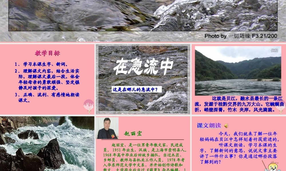 六年级语文上册 第11课 在急流中课件2 西师大版-西师大版小学六年级上册语文课件