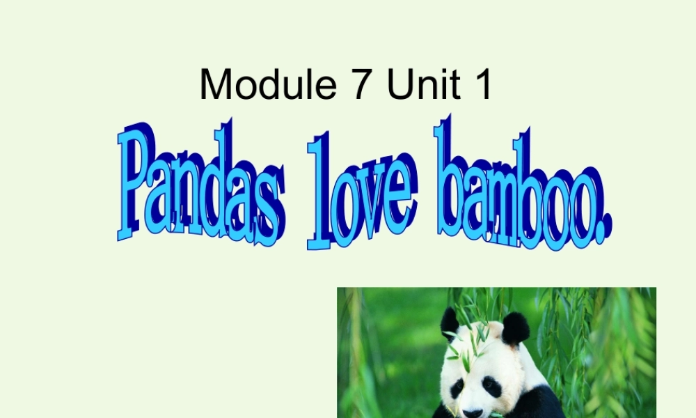 六年级英语上册 Unit 1 Pandas love bamboo课件 外研版（一起）-外研版小学六年级上册英语课件