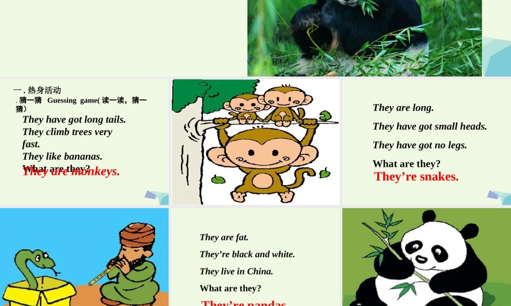 六年级英语上册 Unit 1 Pandas love bamboo课件 外研版（一起）-外研版小学六年级上册英语课件