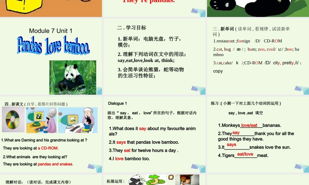六年级英语上册 Unit 1 Pandas love bamboo课件 外研版（一起）-外研版小学六年级上册英语课件