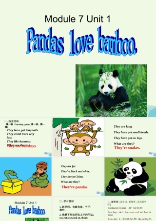 六年级英语上册 Unit 1 Pandas love bamboo课件 外研版（一起）-外研版小学六年级上册英语课件