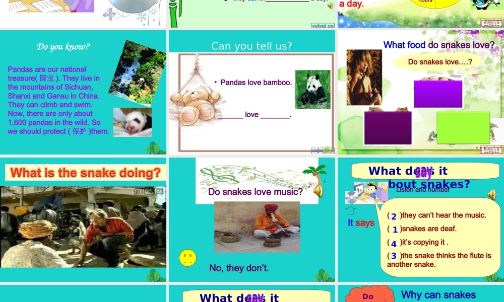 六年级英语上册 Unit 1 Pandas love bamboo课件1 外研版（一起）-外研版小学六年级上册英语课件