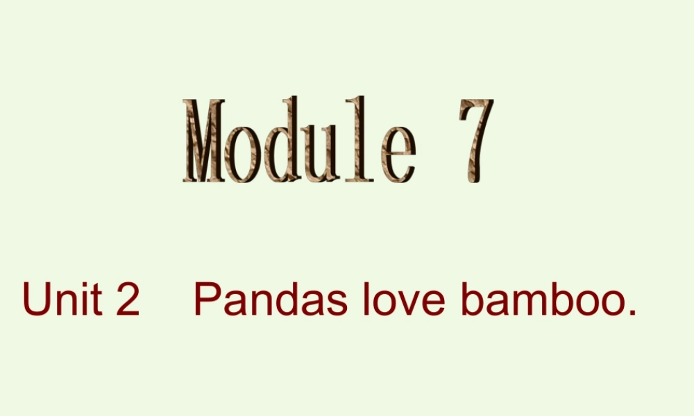 六年级英语上册 Unit 1 Pandas love bamboo课件2 外研版（一起）-外研版小学六年级上册英语课件