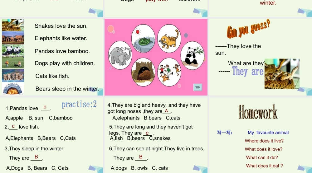 六年级英语上册 Unit 1 Pandas love bamboo课件2 外研版（一起）-外研版小学六年级上册英语课件