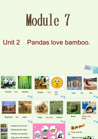 六年级英语上册 Unit 1 Pandas love bamboo课件2 外研版（一起）-外研版小学六年级上册英语课件