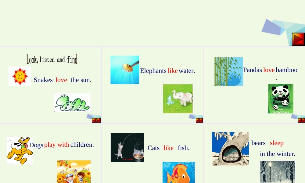 六年级英语上册 Unit 1 Pandas love bamboo课件3 外研版（一起）-外研版小学六年级上册英语课件