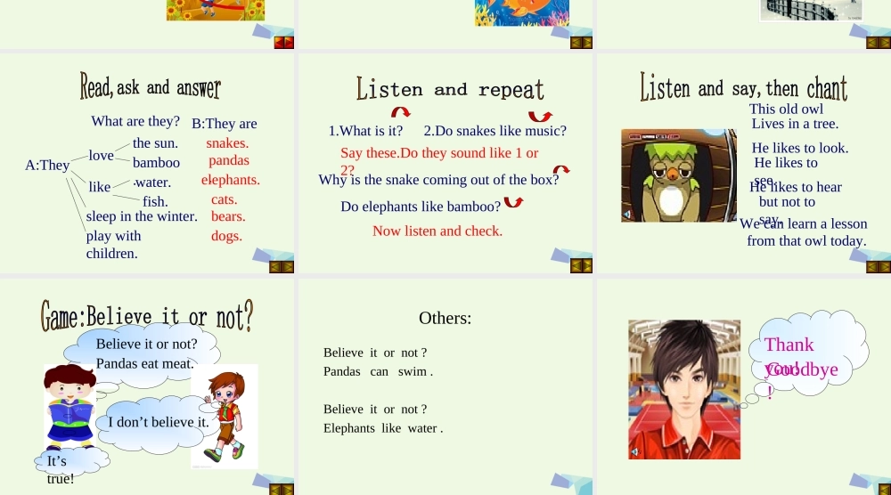 六年级英语上册 Unit 1 Pandas love bamboo课件3 外研版（一起）-外研版小学六年级上册英语课件