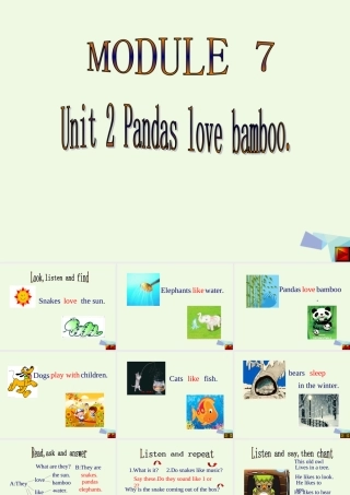 六年级英语上册 Unit 1 Pandas love bamboo课件3 外研版（一起）-外研版小学六年级上册英语课件