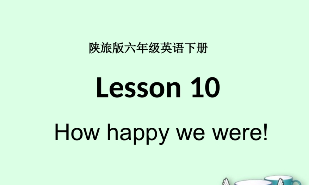六年级英语下册 Lesson 10 How happy we were课件 陕旅版