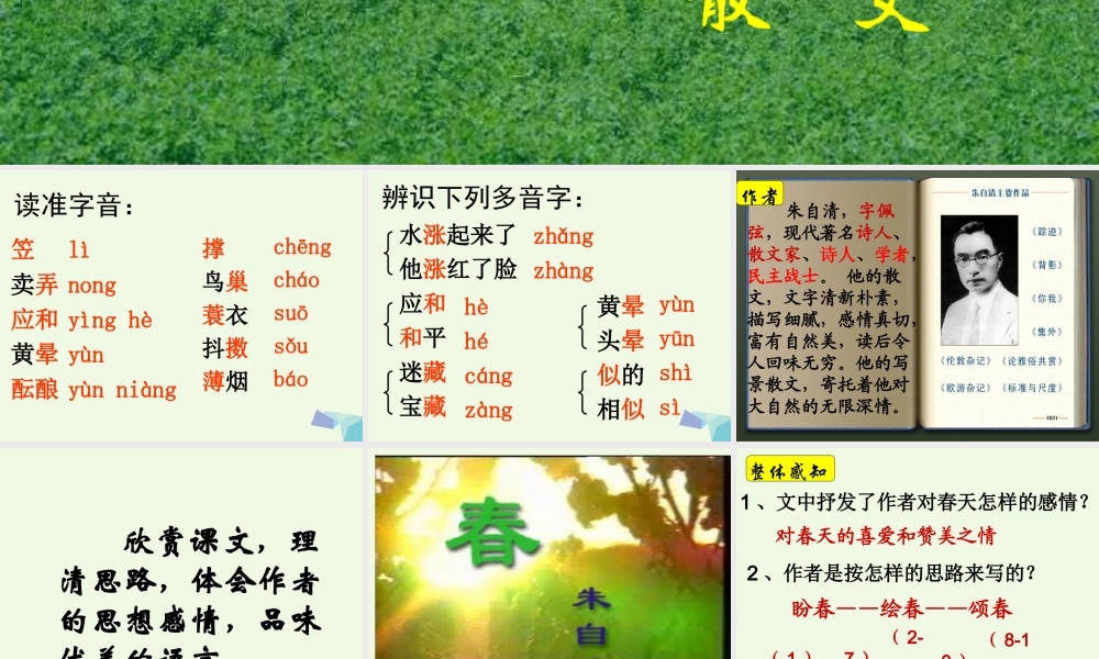 六年级语文上册 第13课 春课件1 鲁教版-鲁教版小学六年级上册语文课件