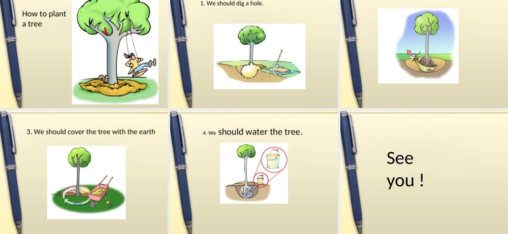 六年级英语下册 Lesson 12 Take care of the trees课件 陕旅版