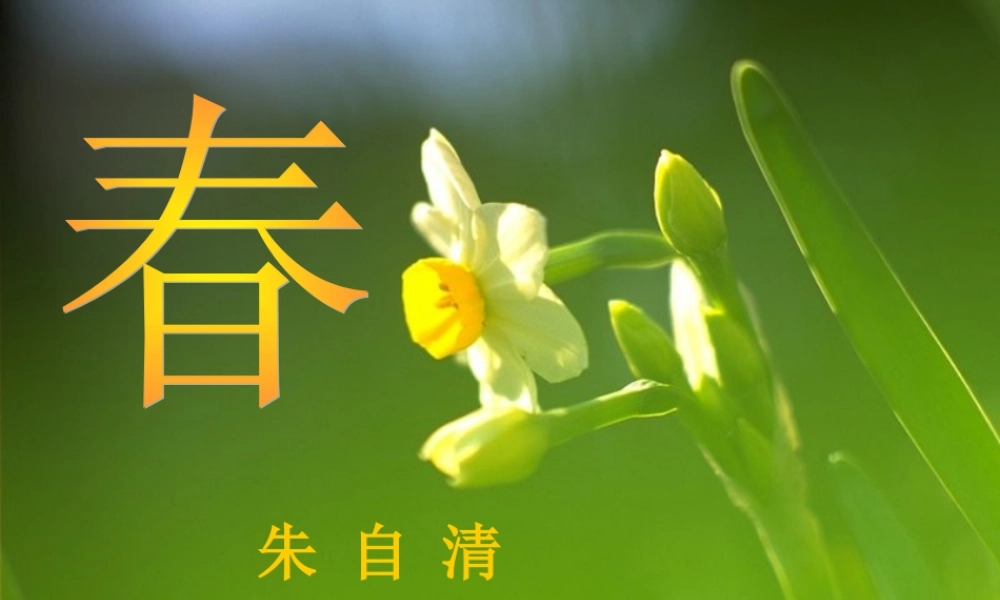 六年级语文上册 第13课 春课件2 鲁教版-鲁教版小学六年级上册语文课件