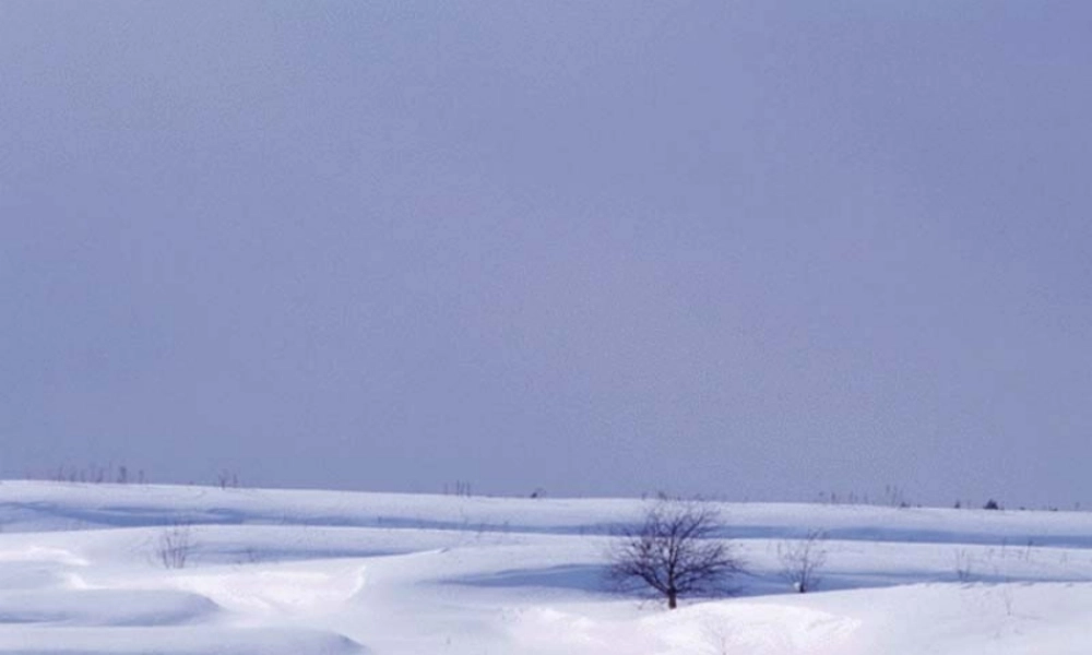 六年级语文上册 第14课 济南的冬天课件2 鲁教版-鲁教版小学六年级上册语文课件