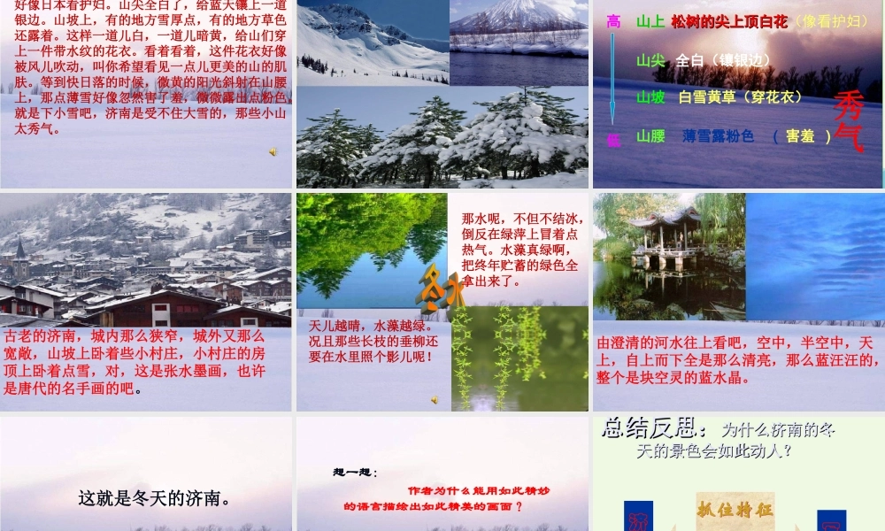 六年级语文上册 第14课 济南的冬天课件3 鲁教版-鲁教版小学六年级上册语文课件