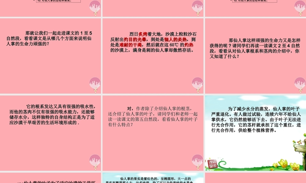 六年级语文上册 第15课 仙人掌课件1 西师大版-西师大版小学六年级上册语文课件