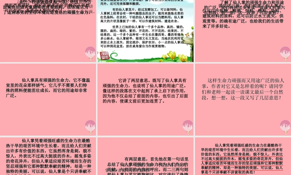 六年级语文上册 第15课 仙人掌课件1 西师大版-西师大版小学六年级上册语文课件