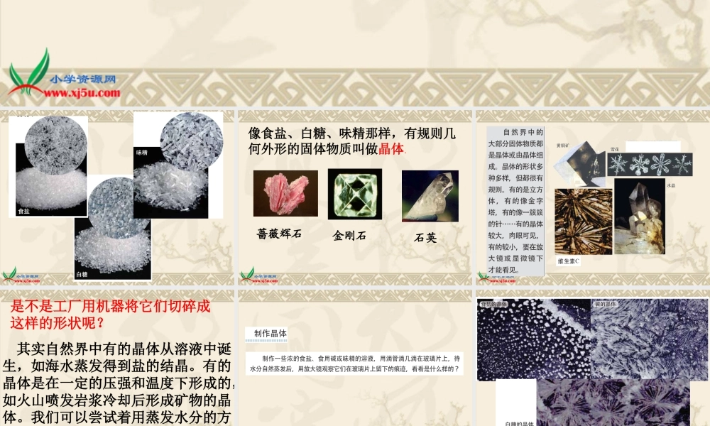 六年级自然与科学下册 放大镜下的晶体课件 教科版