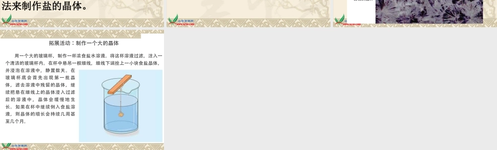 六年级自然与科学下册 放大镜下的晶体课件 教科版