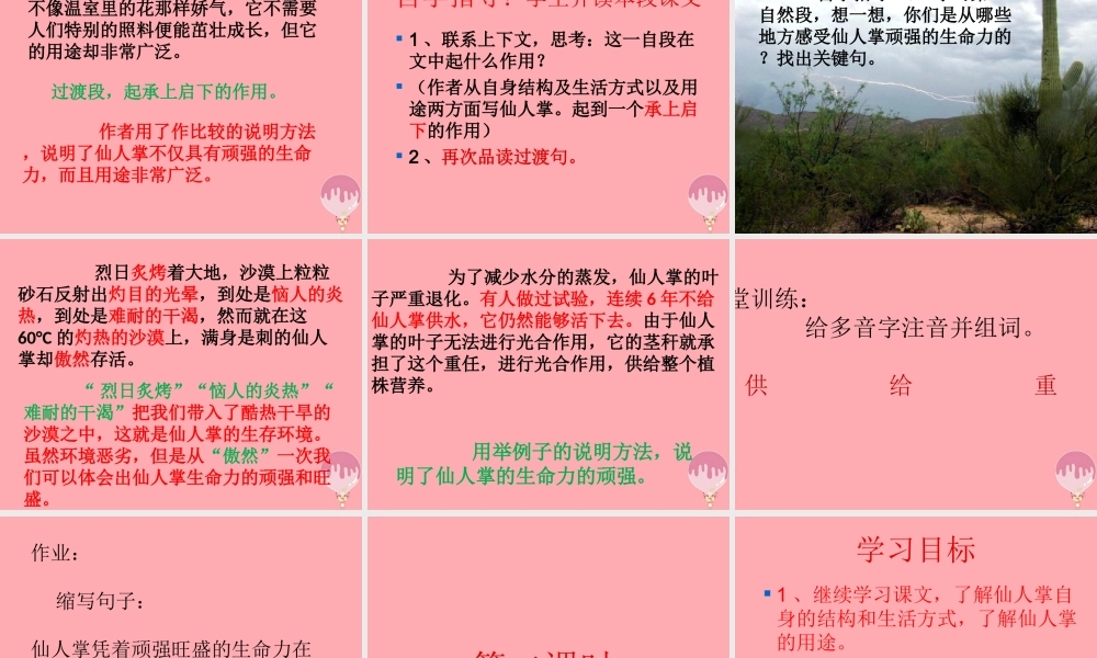 六年级语文上册 第15课 仙人掌课件3 西师大版-西师大版小学六年级上册语文课件