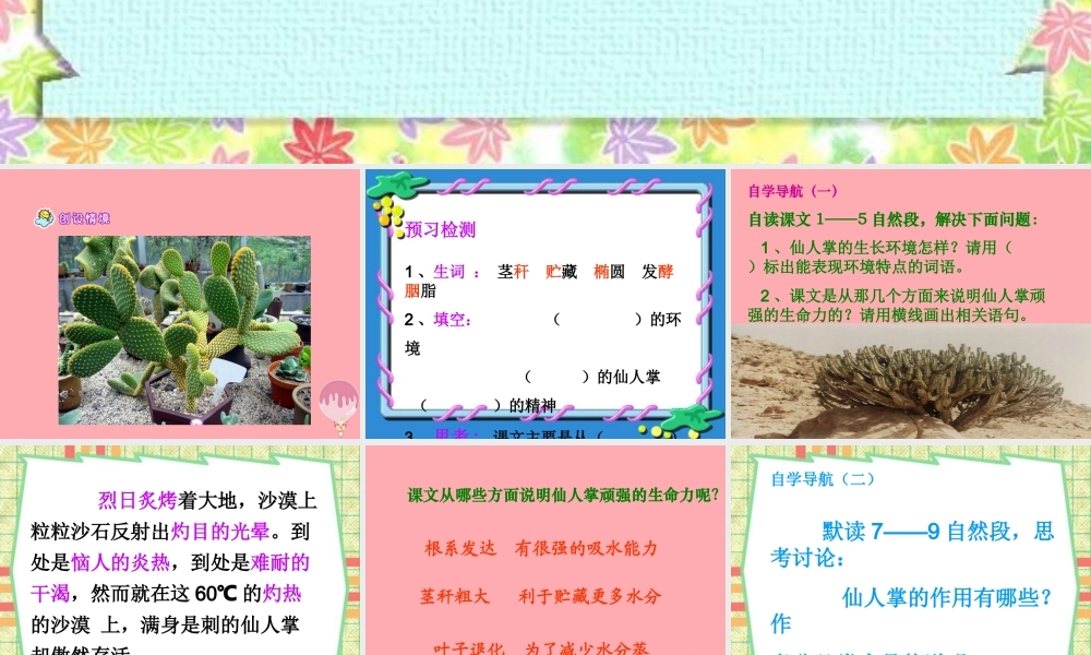 六年级语文上册 第15课 仙人掌课件4 西师大版-西师大版小学六年级上册语文课件