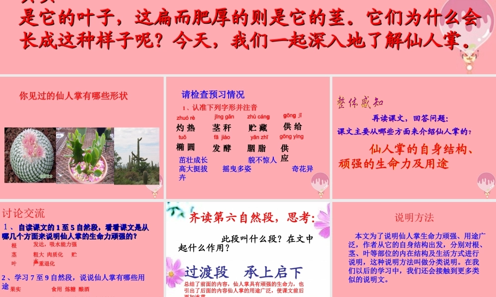 六年级语文上册 第15课 仙人掌课件5 西师大版-西师大版小学六年级上册语文课件