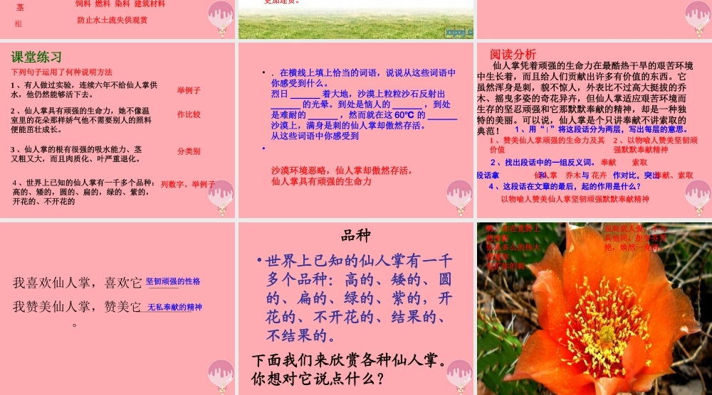 六年级语文上册 第15课 仙人掌课件5 西师大版-西师大版小学六年级上册语文课件