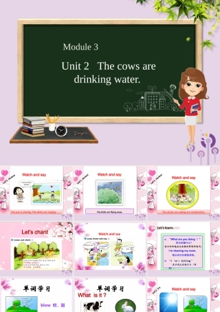 六年级英语下册 Module 3 Unit 2 The cows are drinking water课件 外研版（三起）-外研版小学六年级下册英语课件