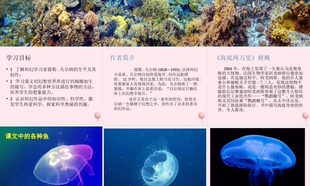 六年级语文上册 第15课《海底奇光》课件2 沪教版-沪教版小学六年级上册语文课件