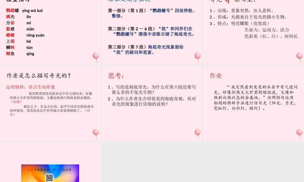 六年级语文上册 第15课《海底奇光》课件2 沪教版-沪教版小学六年级上册语文课件