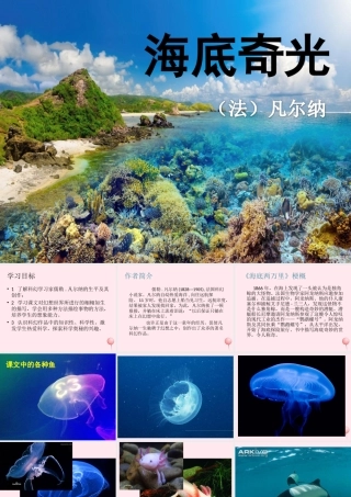 六年级语文上册 第15课《海底奇光》课件2 沪教版-沪教版小学六年级上册语文课件