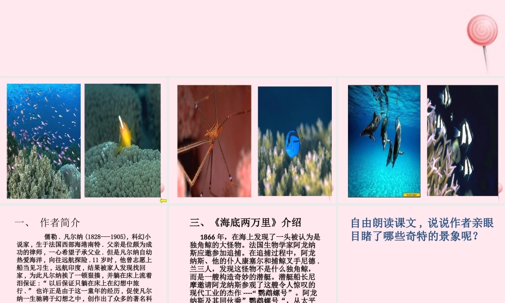 六年级语文上册 第15课《海底奇光》课件3 沪教版-沪教版小学六年级上册语文课件