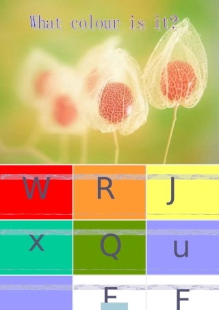 六年级英语上册 Unit 3 What color is it课件 鲁教版