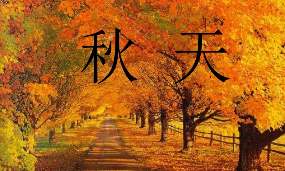 六年级语文上册 第16课 秋天课件2 鲁教版-鲁教版小学六年级上册语文课件