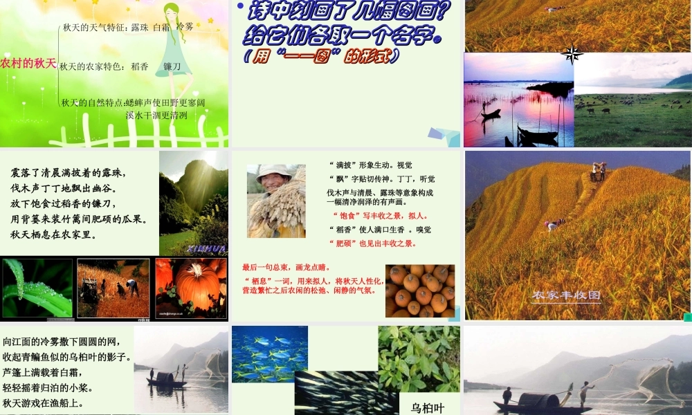 六年级语文上册 第16课 秋天课件2 鲁教版-鲁教版小学六年级上册语文课件