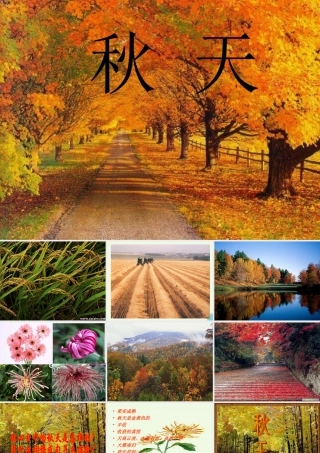 六年级语文上册 第16课 秋天课件2 鲁教版-鲁教版小学六年级上册语文课件