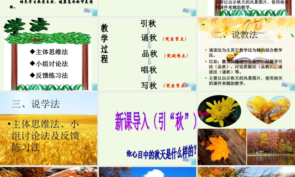 六年级语文上册 第16课 秋天说课课件 鲁教版-鲁教版小学六年级上册语文课件