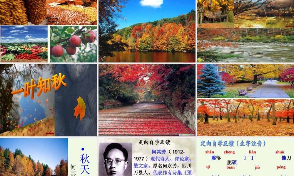 六年级语文上册 第16课 秋天说课课件 鲁教版-鲁教版小学六年级上册语文课件