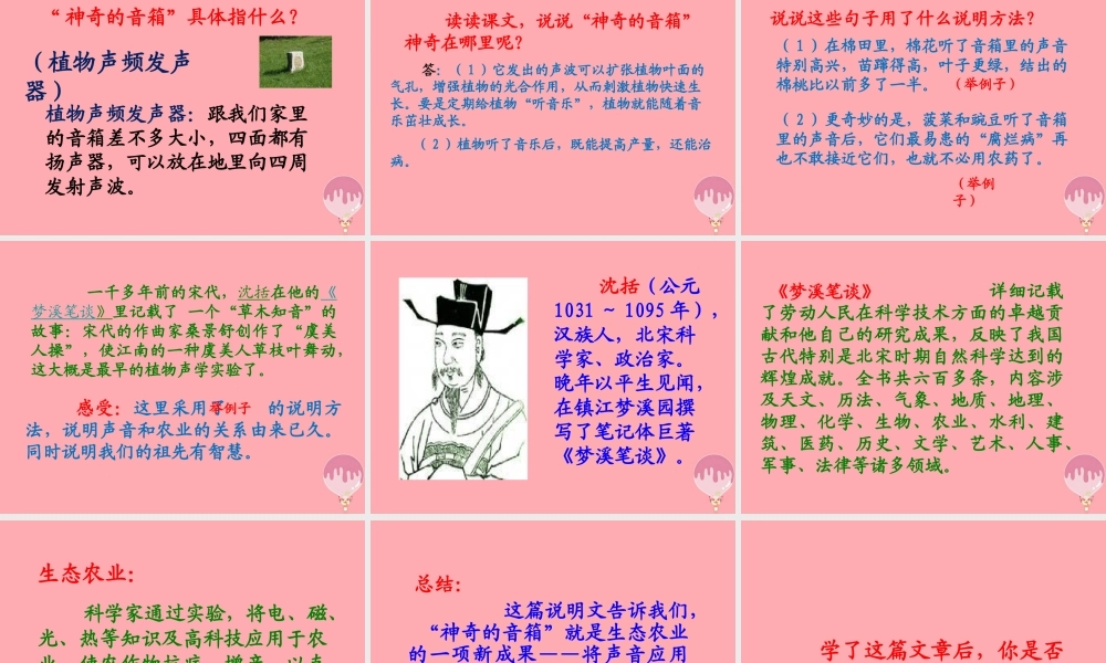 六年级语文上册 第16课 神奇的音箱课件1 西师大版-西师大版小学六年级上册语文课件