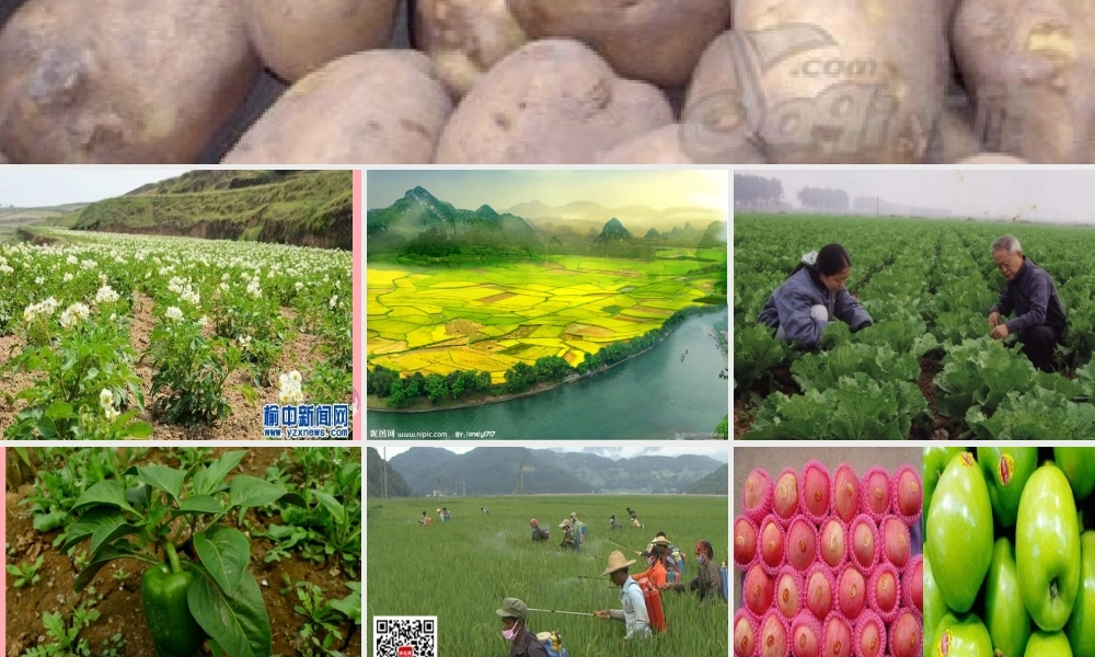 六年级语文上册 第16课 神奇的音箱课件4 西师大版-西师大版小学六年级上册语文课件