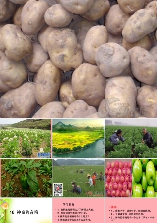 六年级语文上册 第16课 神奇的音箱课件4 西师大版-西师大版小学六年级上册语文课件