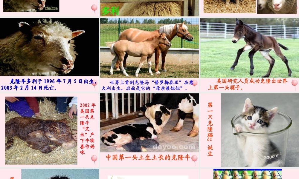 六年级语文上册 第16课《门外敲门声》课件3 沪教版-沪教版小学六年级上册语文课件