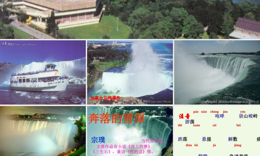 六年级语文上册 第17课 奔落的雪原课件1 鲁教版-鲁教版小学六年级上册语文课件