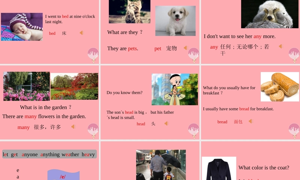 六年级英语上册 Unit 2 My summer holiday（第2课时）课件 牛津上海版-牛津上海版小学六年级上册英语课件